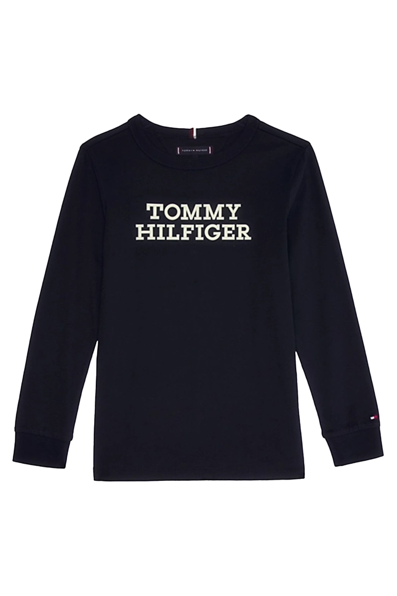 Tommy Hilfiger tommy hilfiger logo tee Blauw-1 1