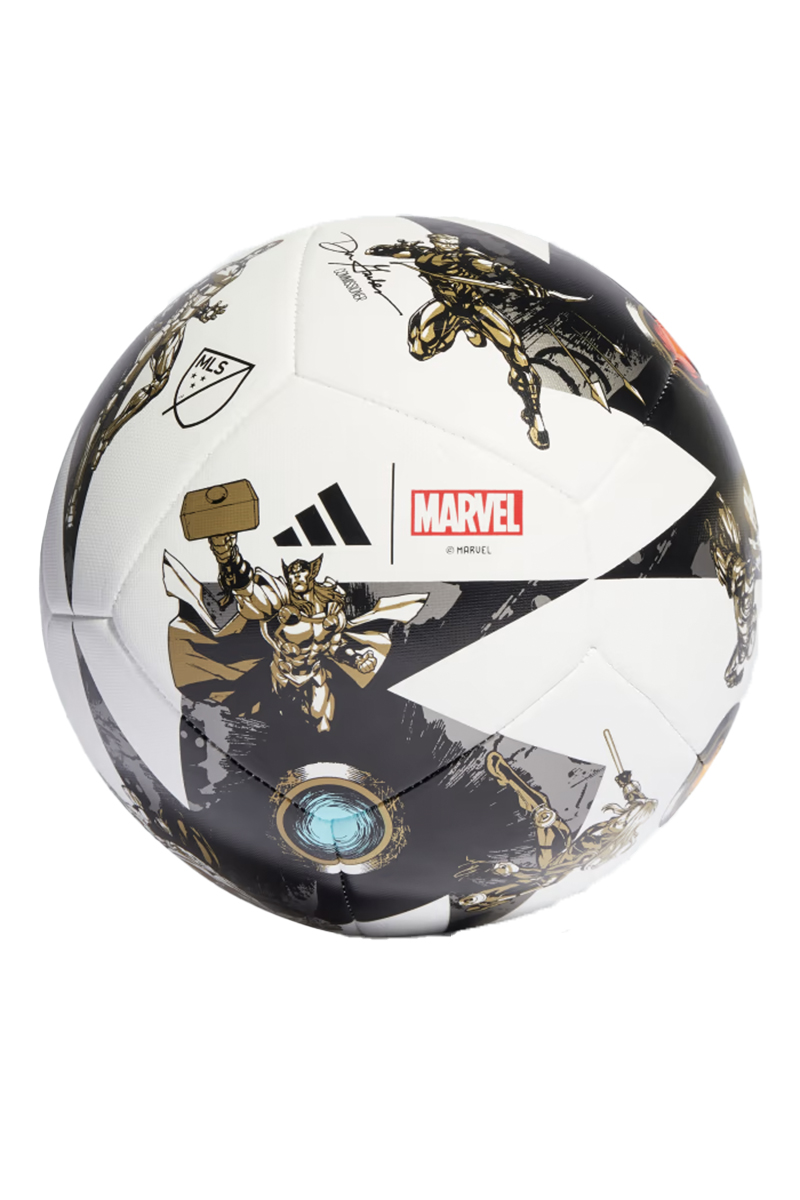 Voetbal zwart