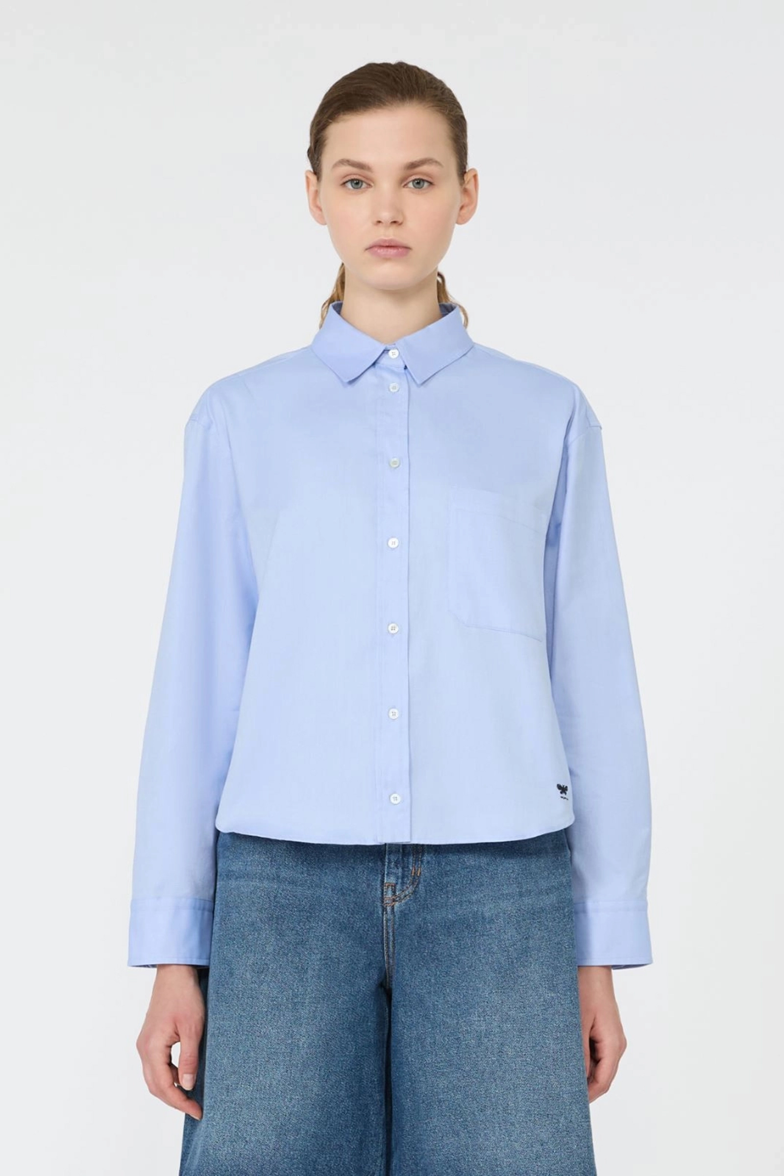 Dames blouse lange mouw blauw