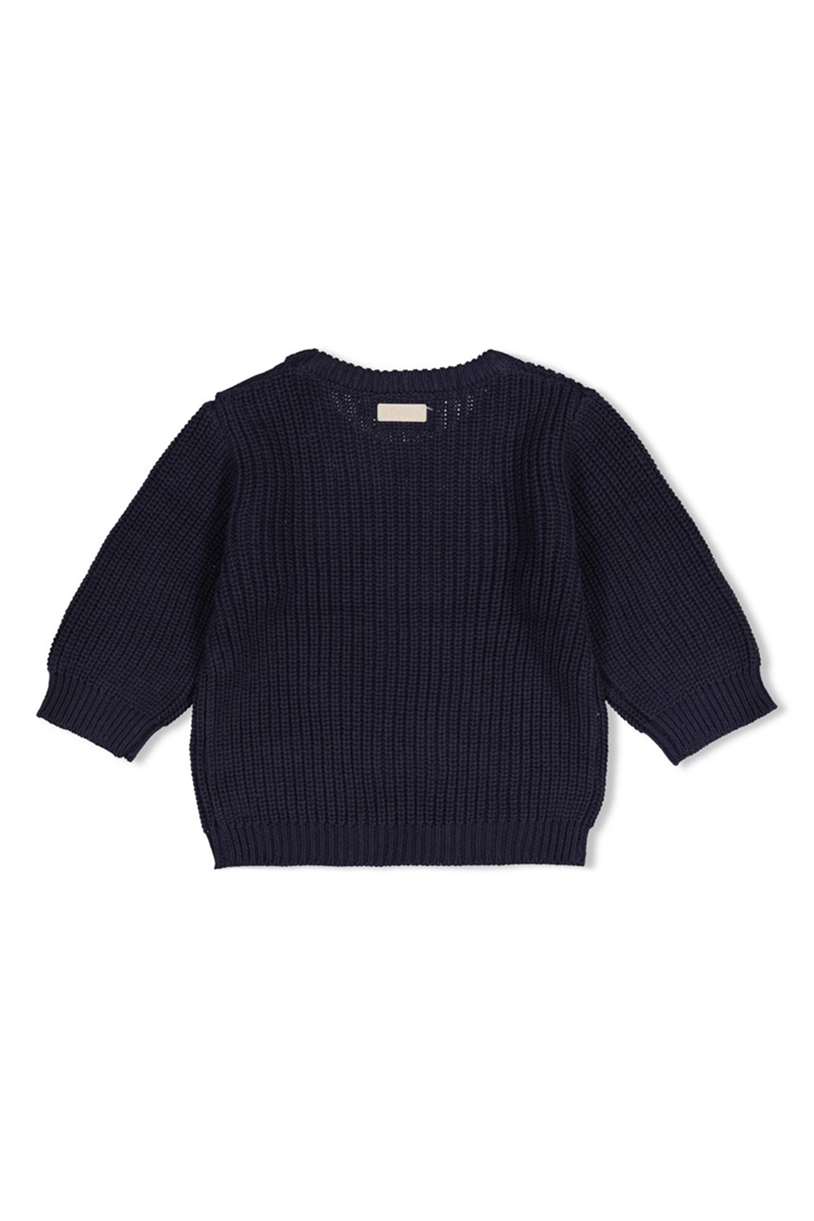 Baby trui blauw