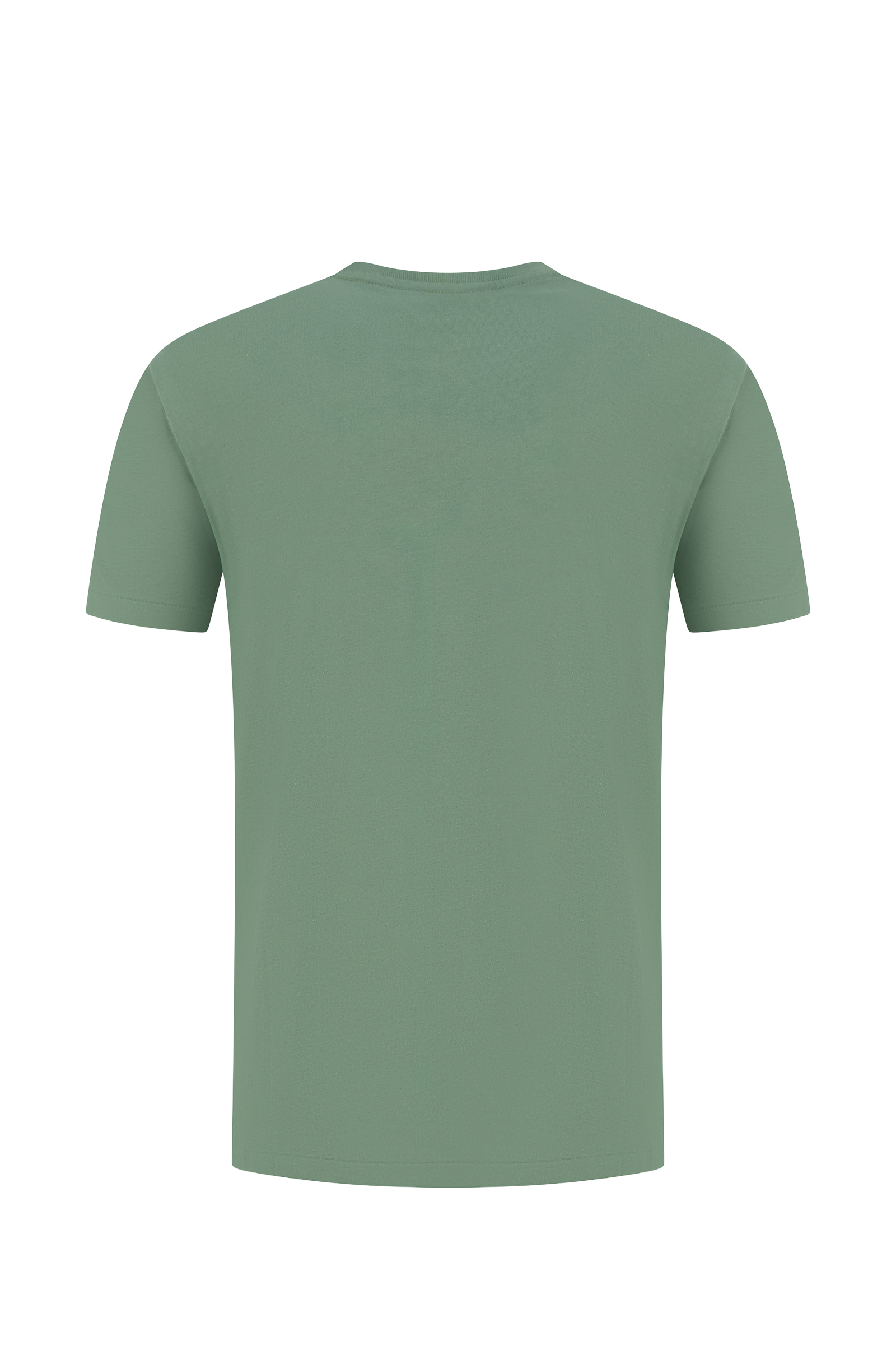 Heren t-shirt kortemouw groen