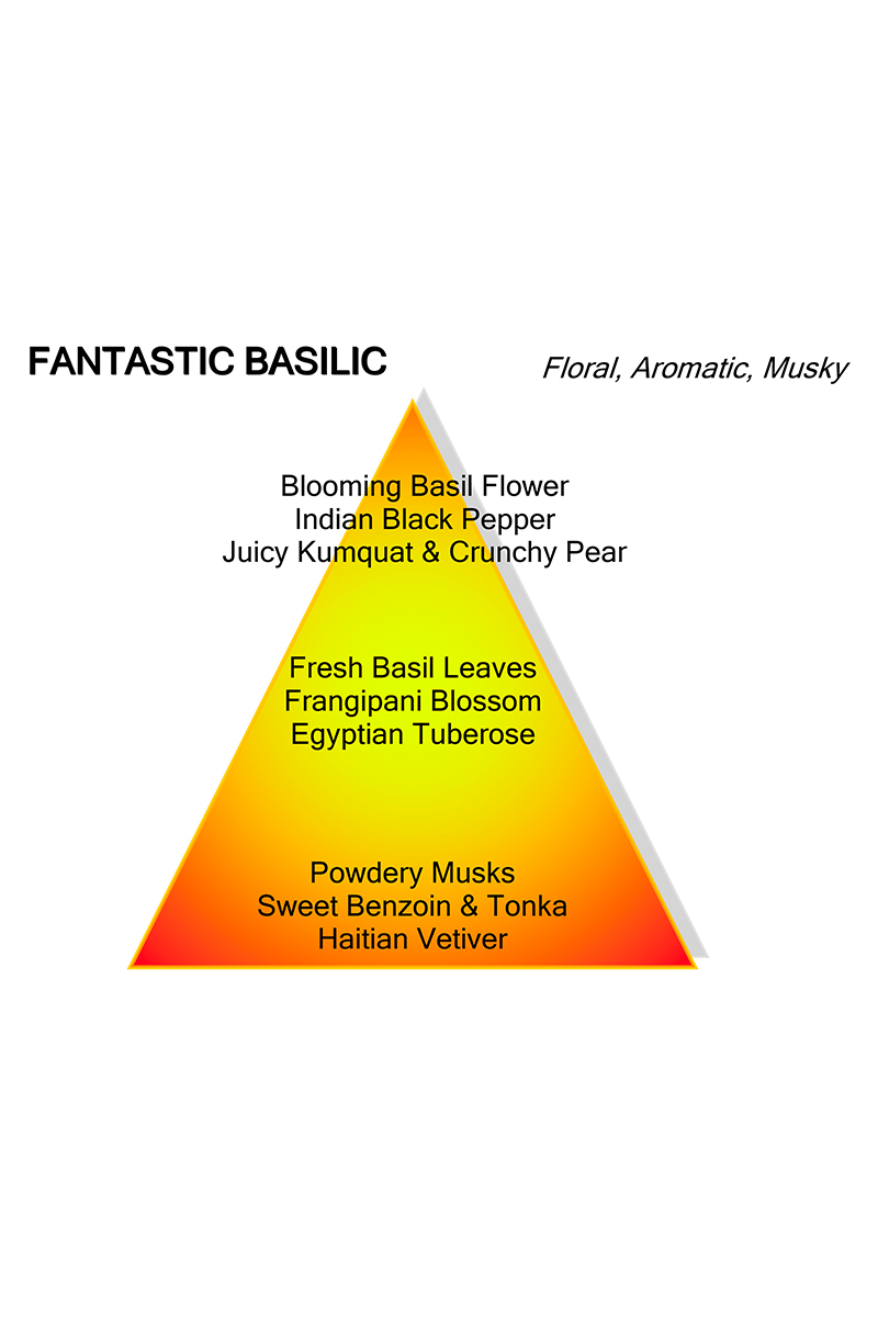 Montale Fantastic Basilic Eau de Parfum 100ml spray Diversen-4 6