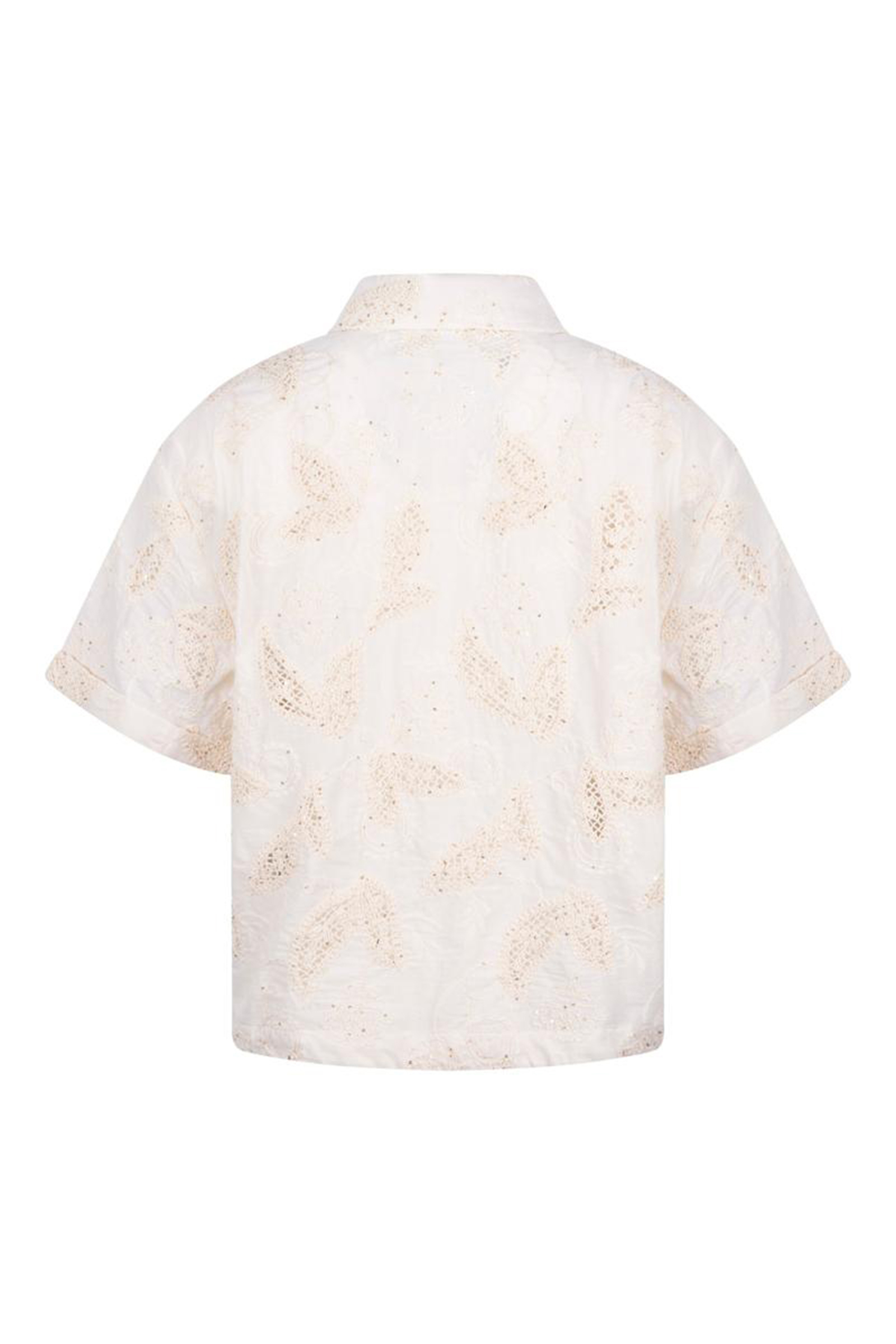 Dames blouse lange mouw bruin