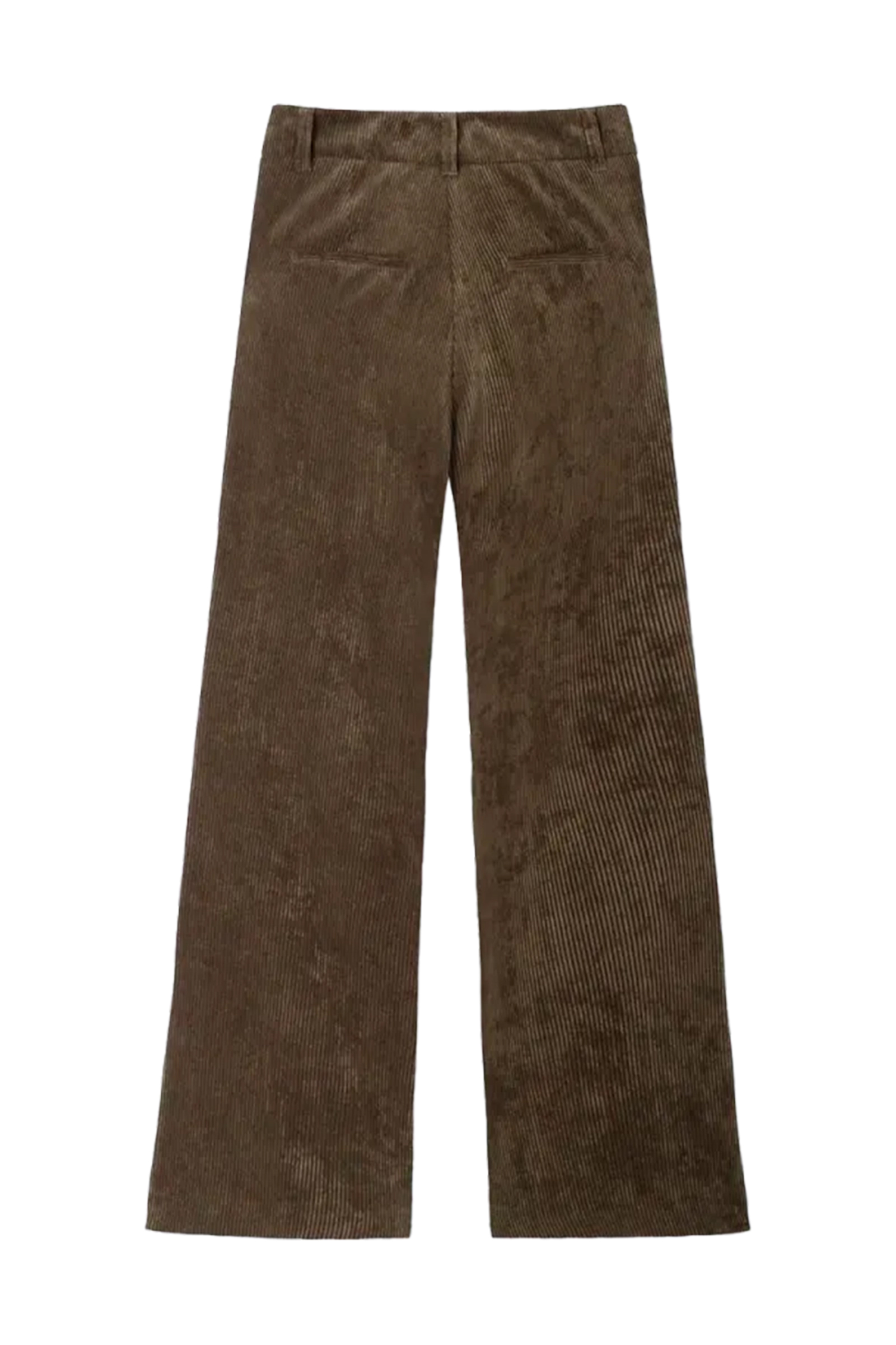 Dames broek bruin