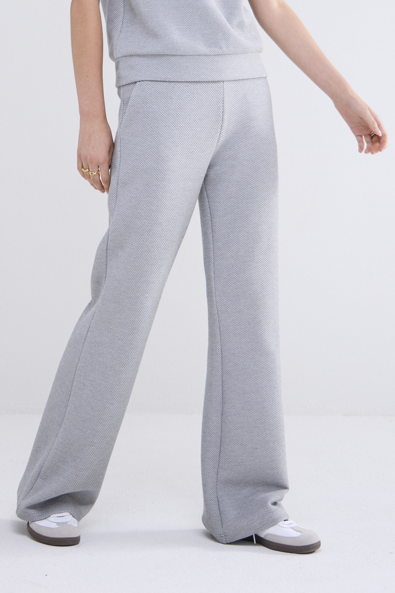 Dames broek grijs