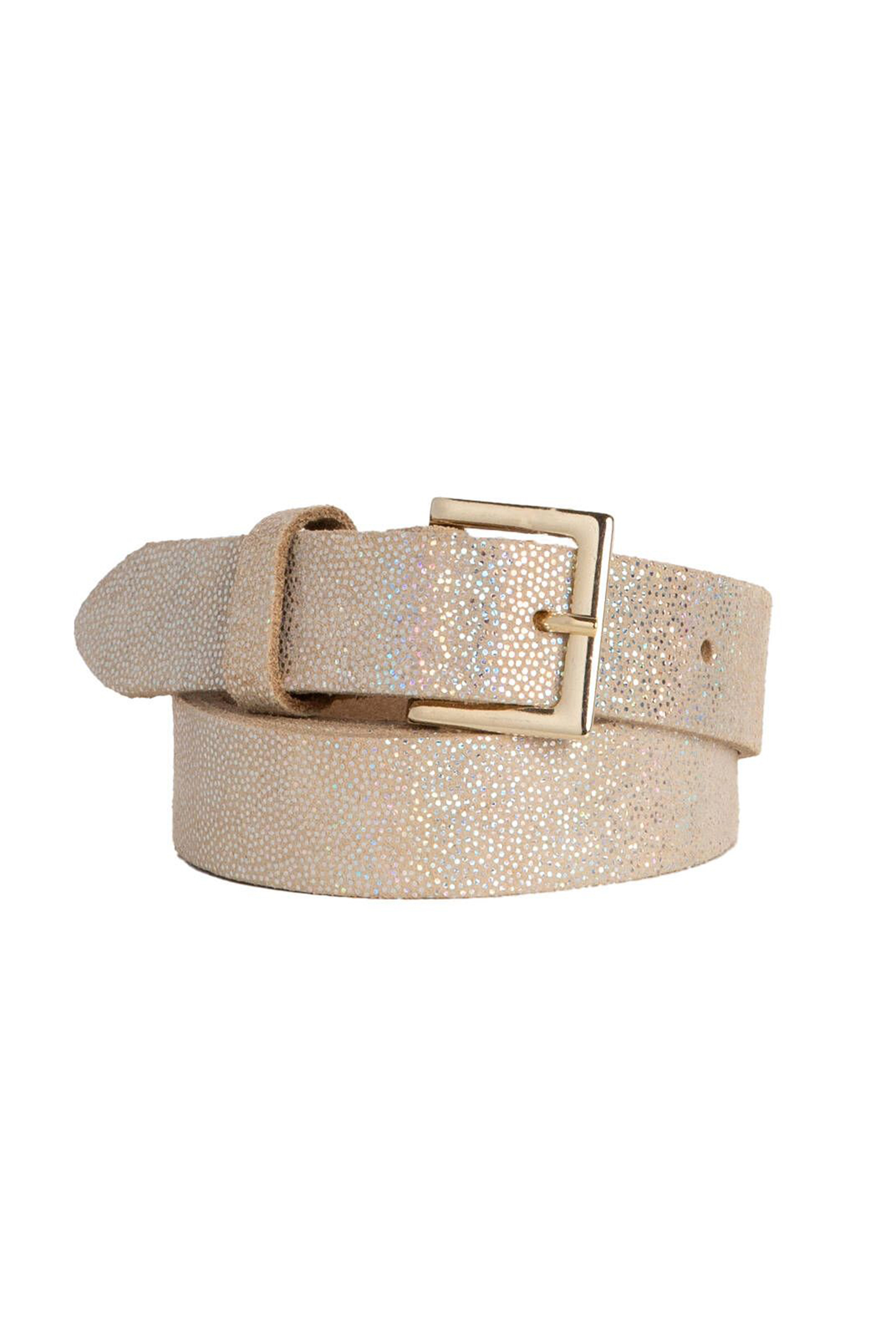 Trezz Belluga Zilver-1 1