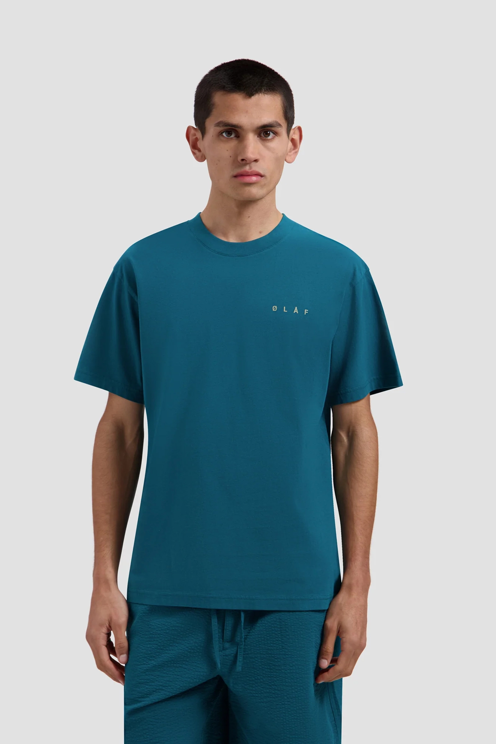 Heren t-shirt kortemouw blauw