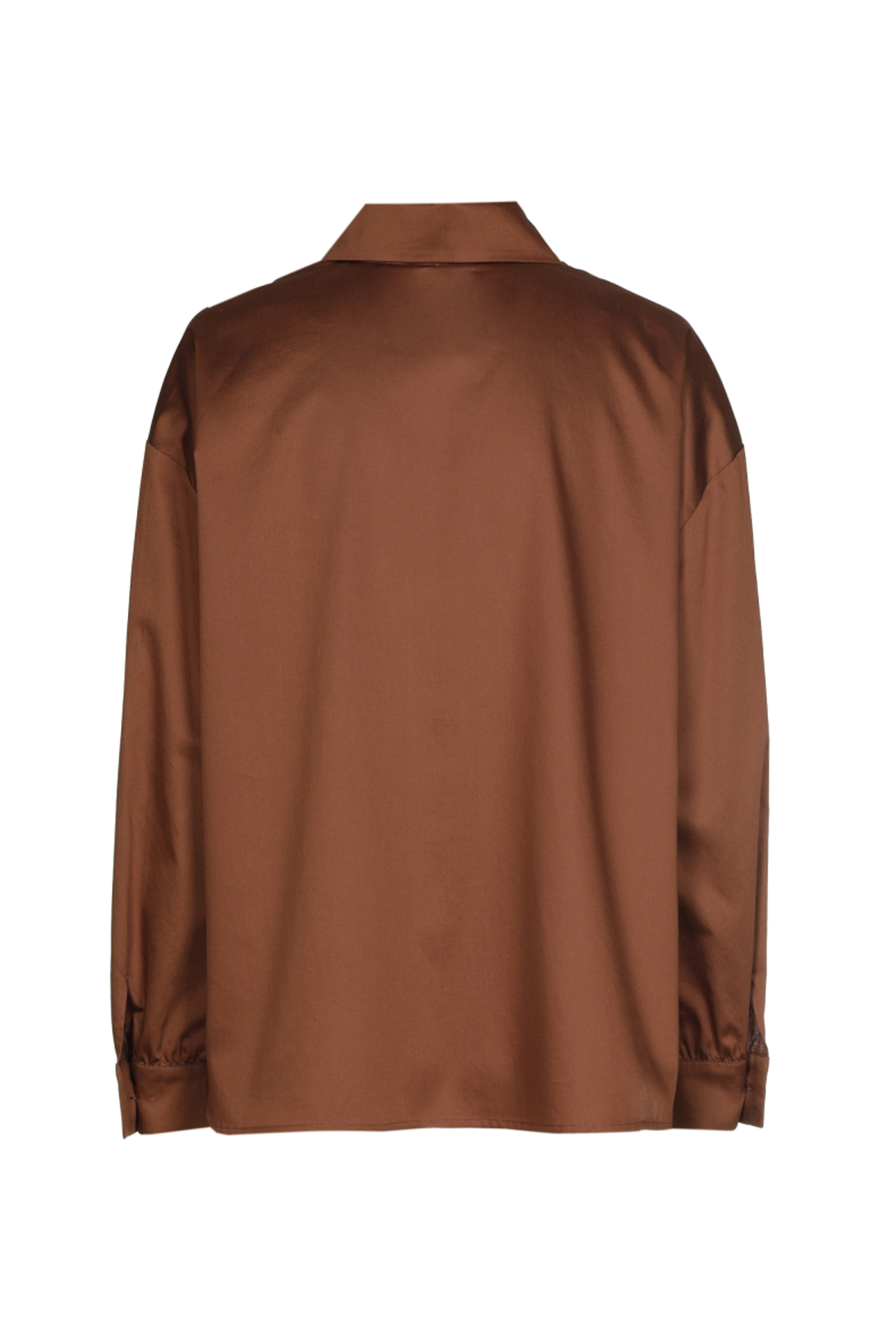 Dames blouse lange mouw bruin