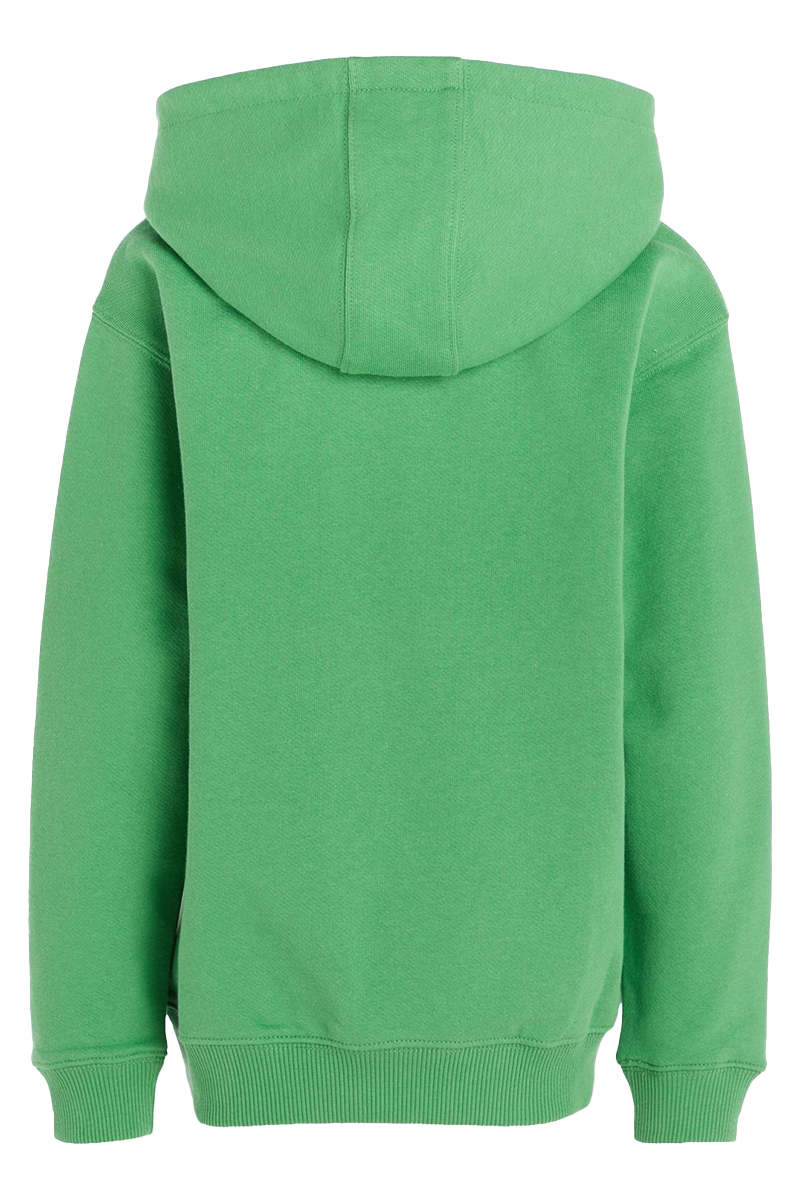 Tommy Hilfiger hilfiger arched hoodie Groen-1 2