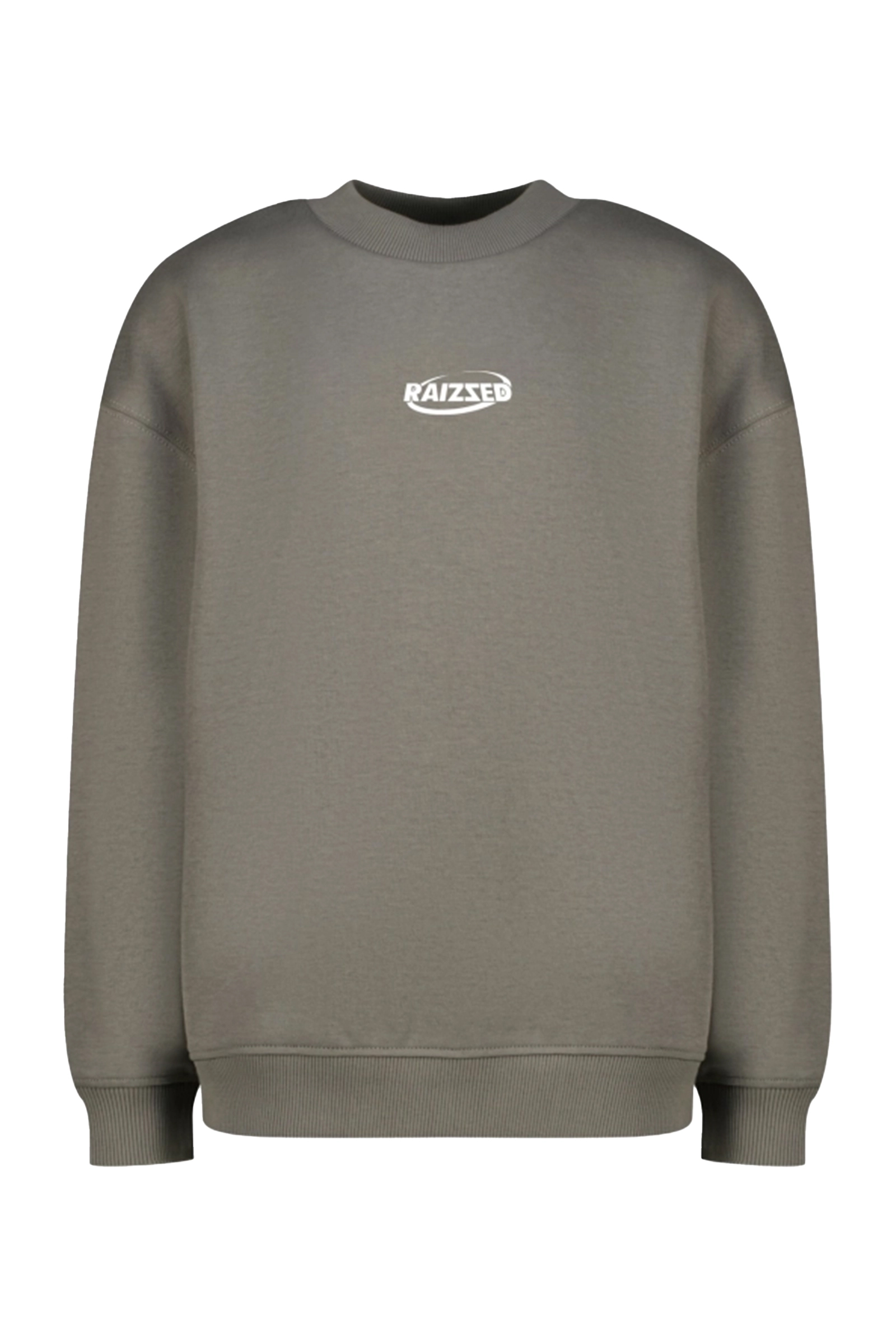 Jongens sweater bruin