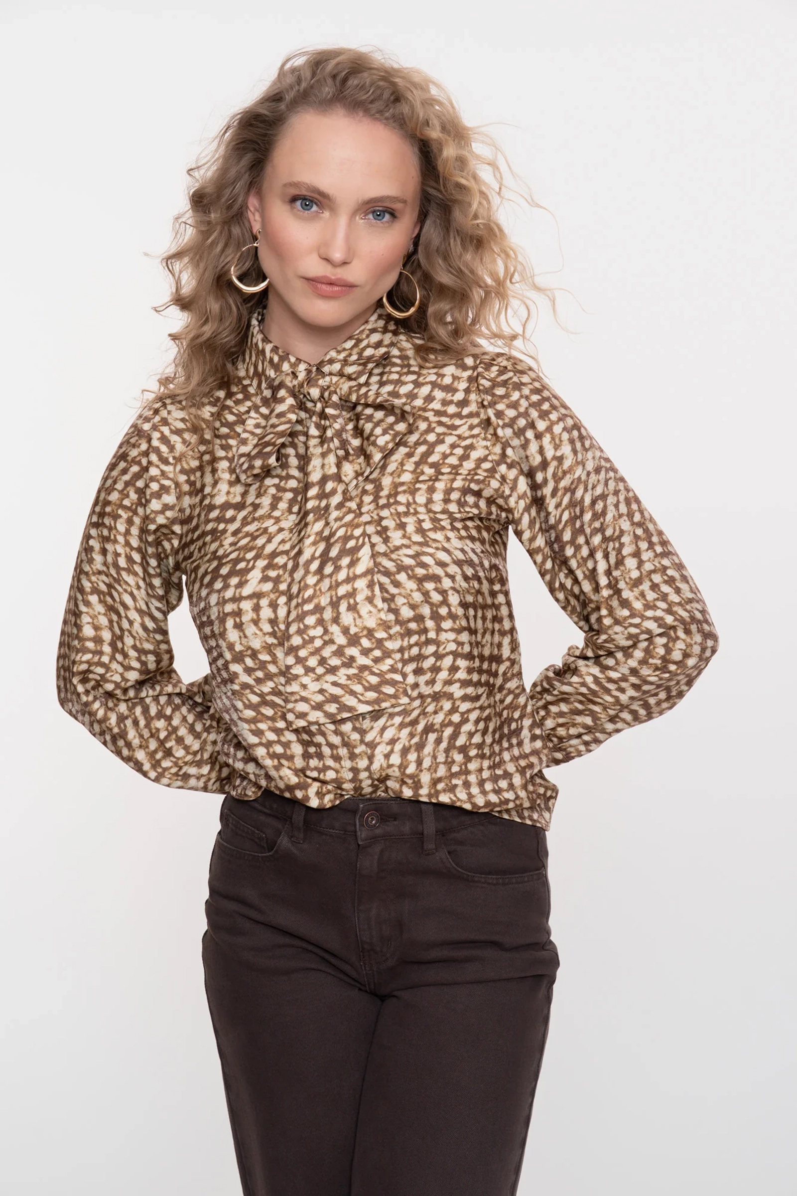 Dames blouse lange mouw bruin