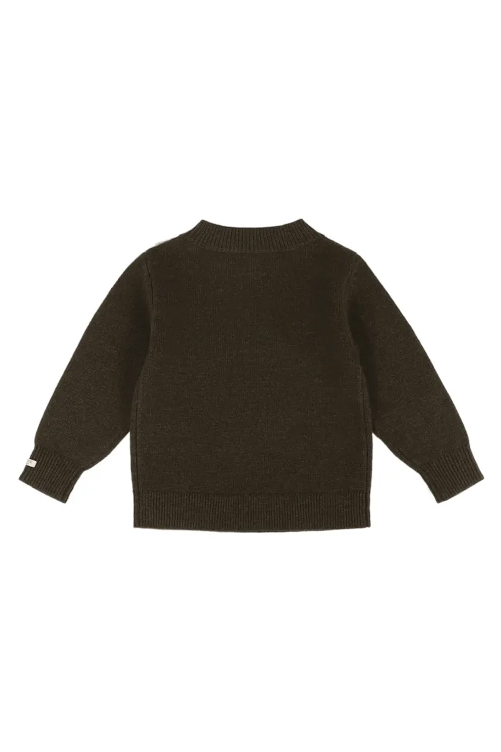 Baby trui groen