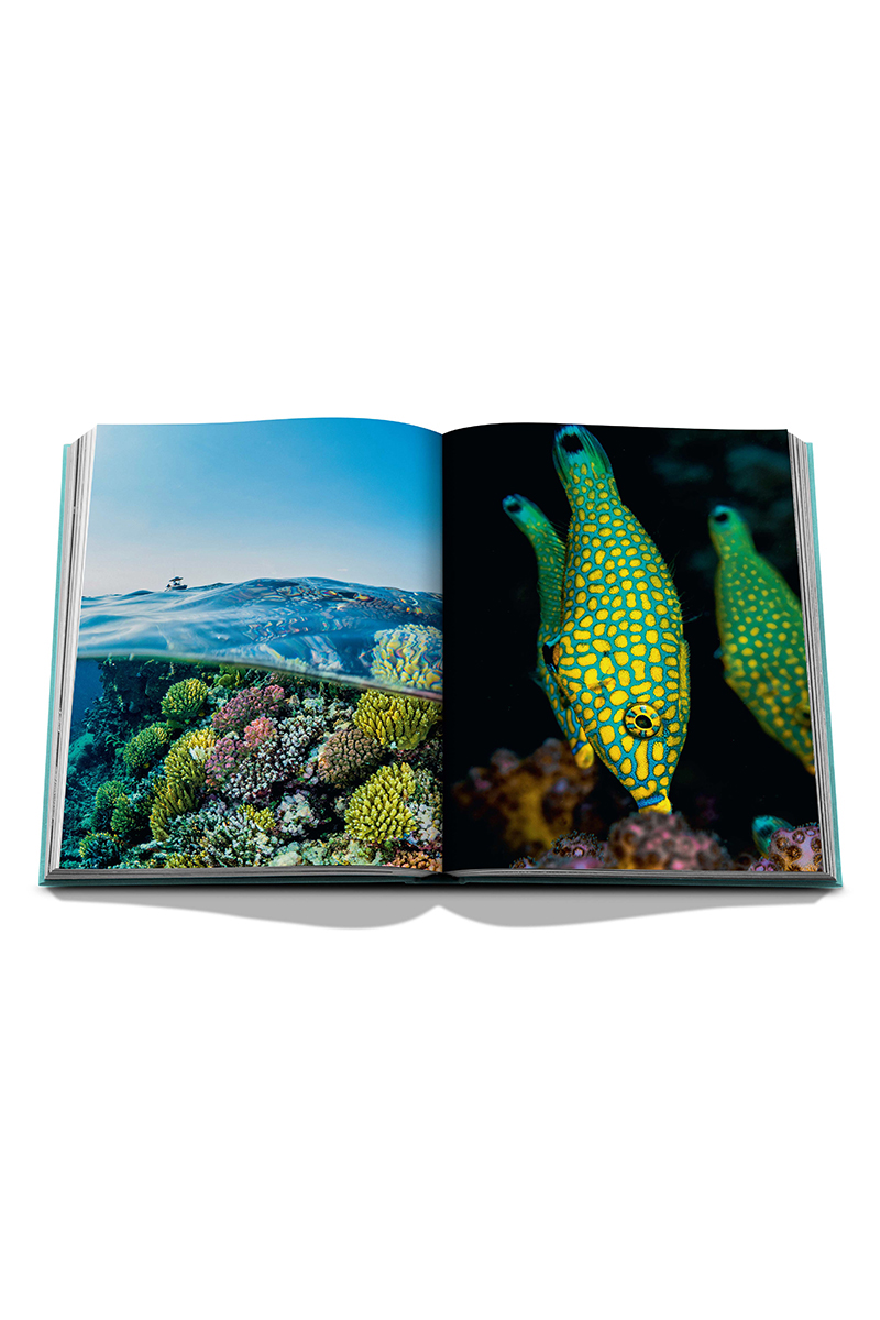 Assouline Saudi Arabia: Red Sea Diversen-4 6