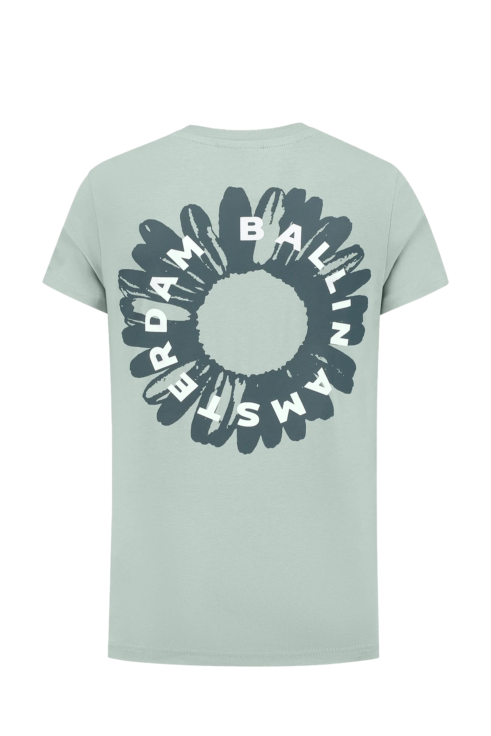 Ballin Regular fit crewneck tshirt Groen-1 4