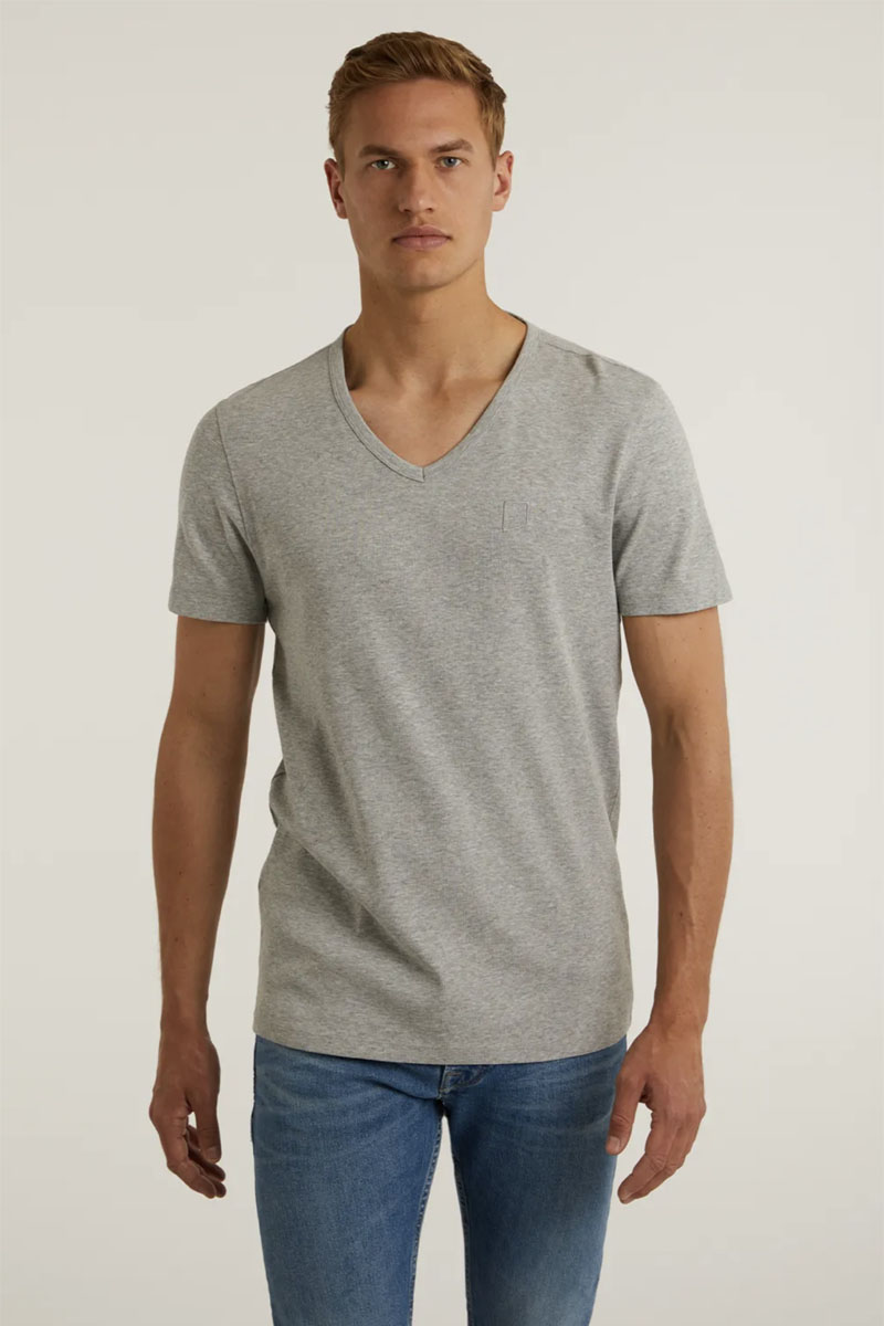 Heren t-shirt kortemouw grijs