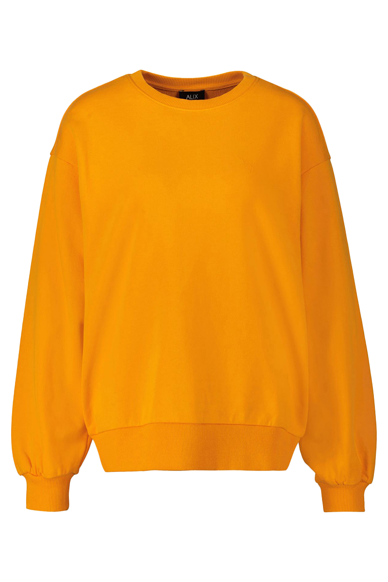 Alix the Label Patch sweater Oranje-1 1