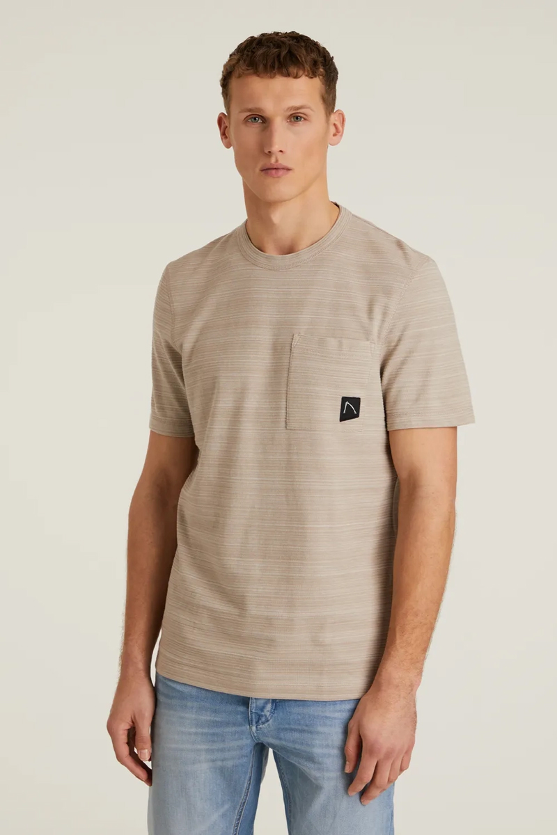Chasin' T-SHIRT SS r-neck TAUPE 2