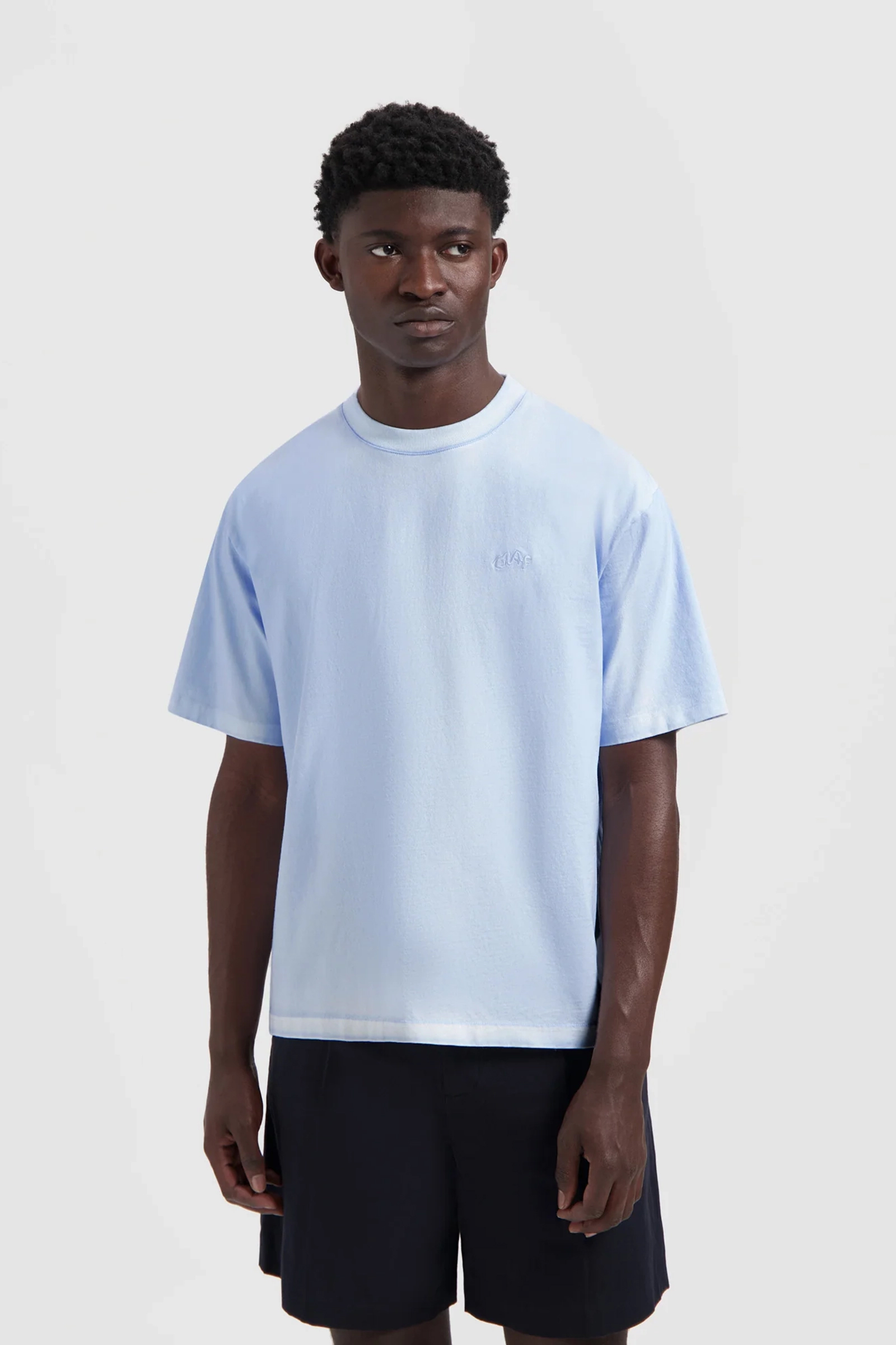 Heren t-shirt kortemouw blauw