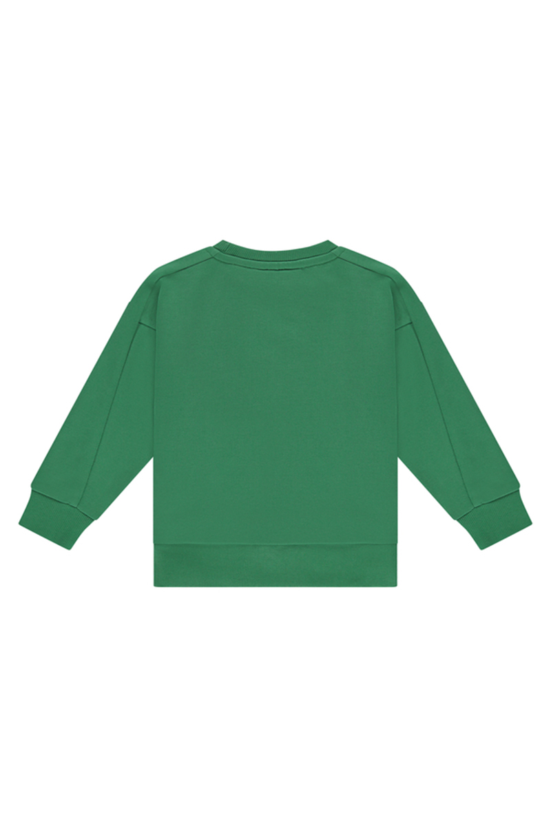 Stains and Stories Boys sweatshirt Groen-1 2