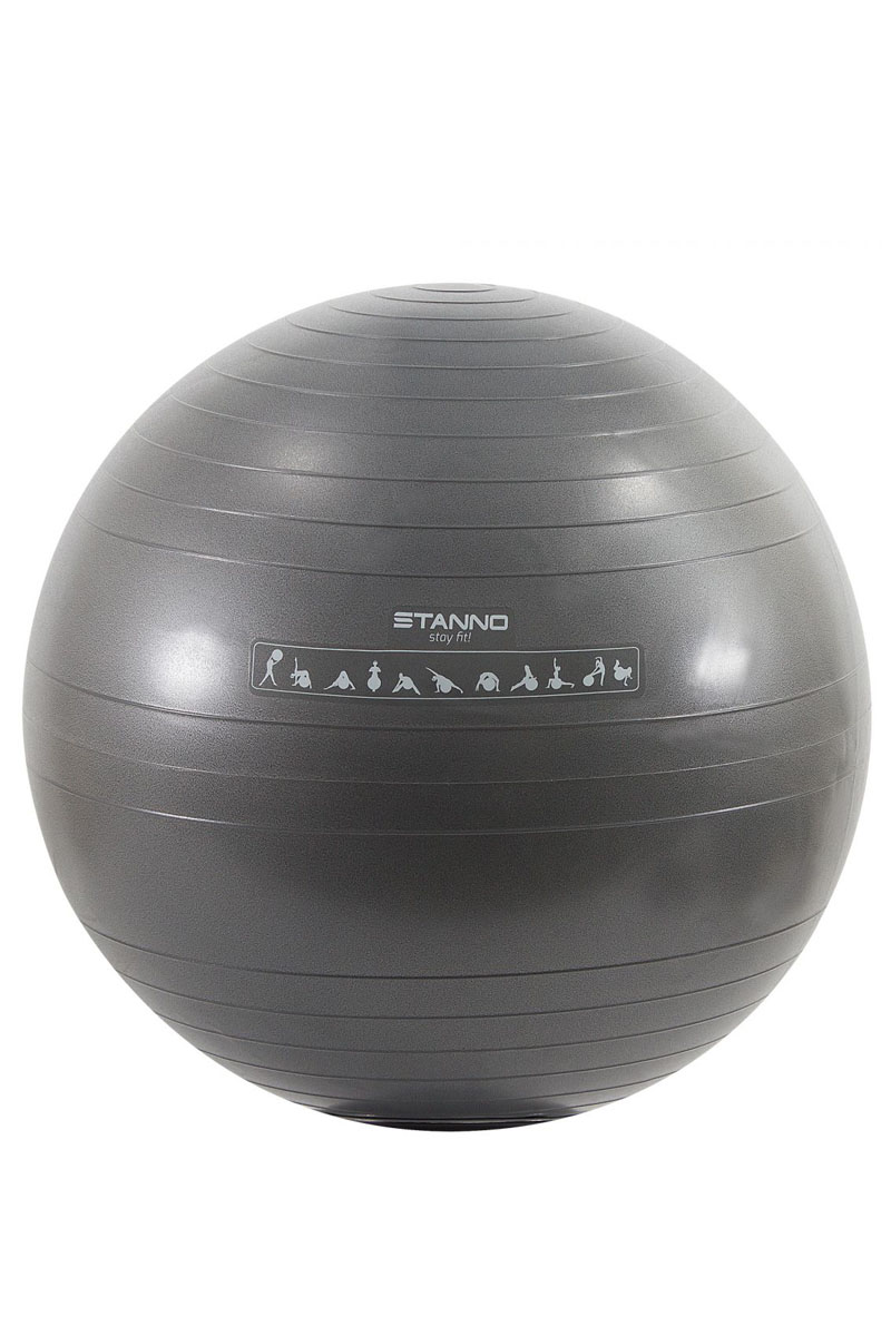 Stanno stanno exercise ball Zilver-1 1