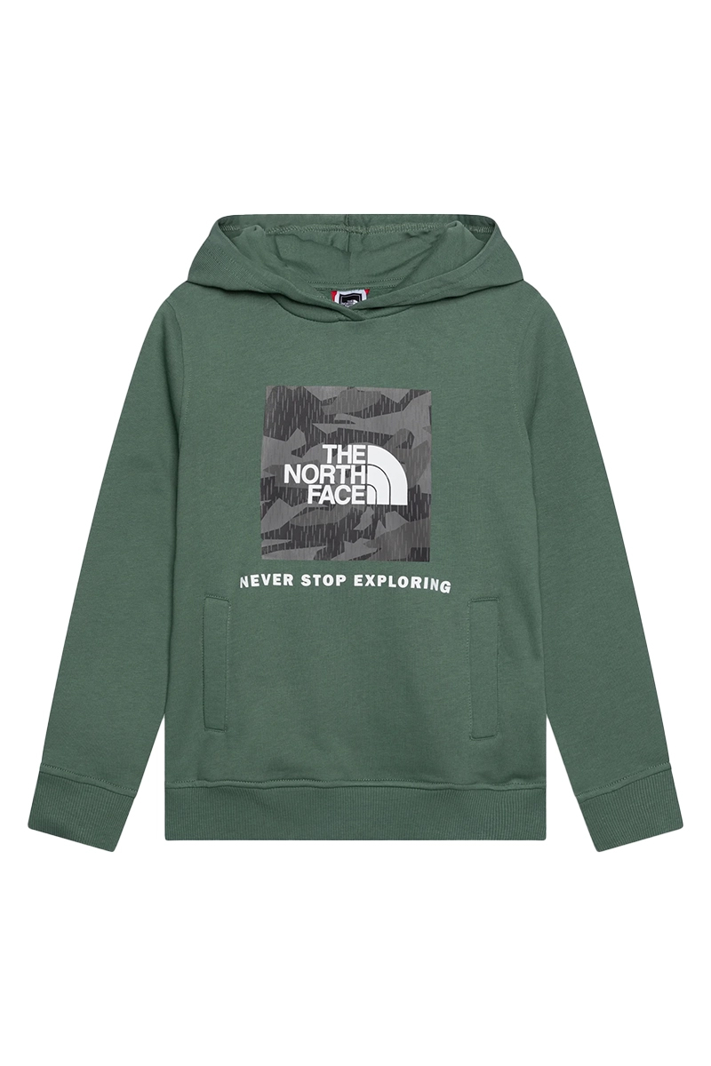 The North Face TEENS BOX P/O HOODIE TN Groen-1 1
