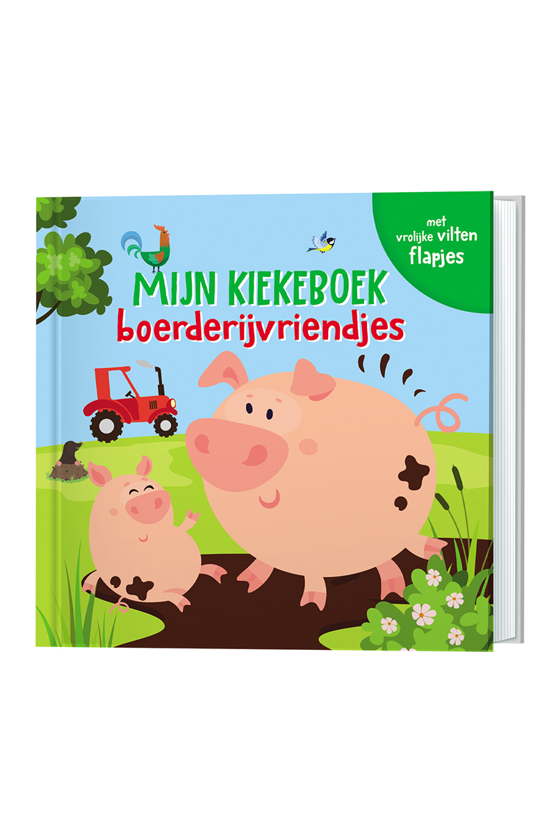Boeken diversen